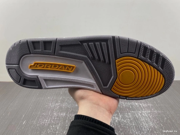 Bryant Kobe   PE 3 Retro 869802-907 Jordan 0411